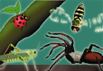 Bugs & Spiders