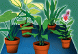 Plants