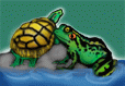 Amphibians & Reptiles